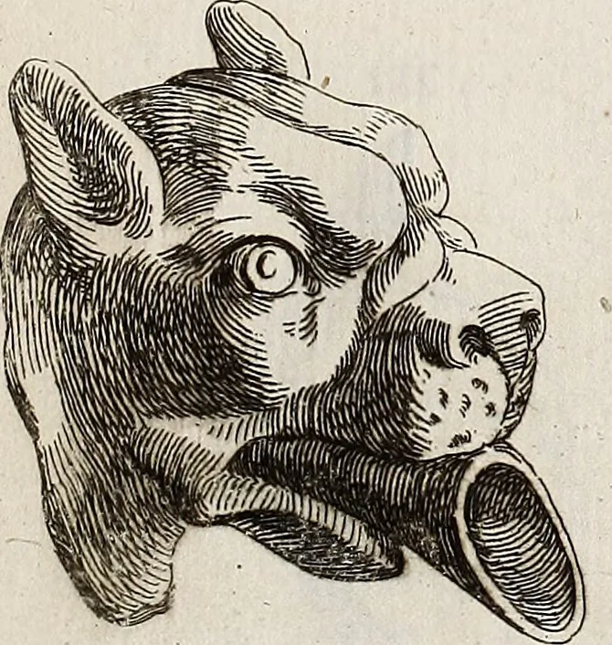 An illustration from Recueil d'antiquités égyptiennes, étrusques, greques et romaines, 1752, leaf 560