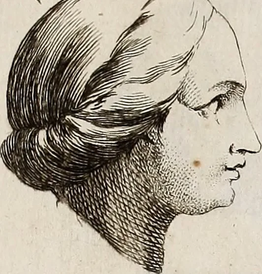 An illustration from Recueil d'antiquités égyptiennes, étrusques, greques et romaines, 1752, leaf 562