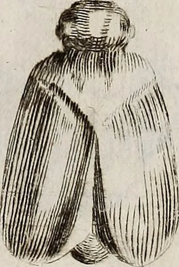An illustration from Recueil d'antiquités égyptiennes, étrusques, greques et romaines, 1752, leaf 578