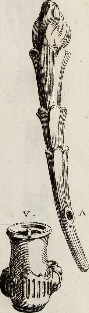 An illustration from Recueil d'antiquités égyptiennes, étrusques, greques et romaines, 1752, leaf 580