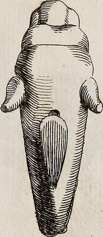 An illustration from Recueil d'antiquités égyptiennes, étrusques, greques et romaines, 1752, leaf 584