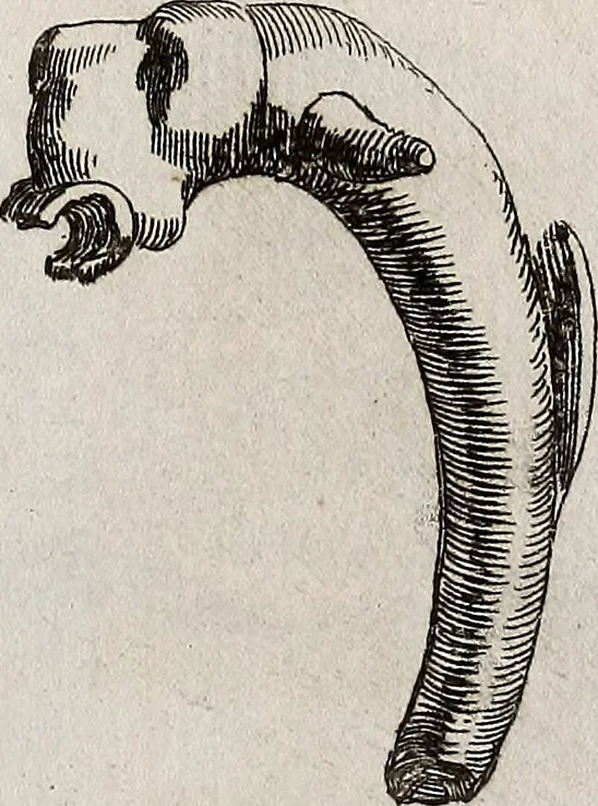 An illustration from Recueil d'antiquités égyptiennes, étrusques, greques et romaines, 1752, leaf 584