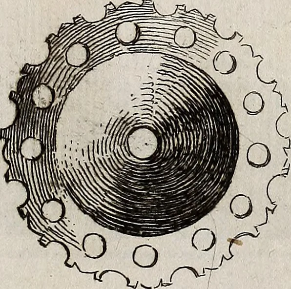 An illustration from Recueil d'antiquités égyptiennes, étrusques, greques et romaines, 1752, leaf 584