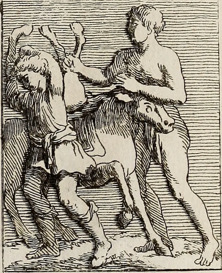 An illustration from Recueil d'antiquités égyptiennes, étrusques, greques et romaines, 1752, leaf 650