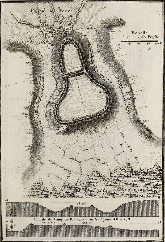 An illustration from Recueil d'antiquités égyptiennes, étrusques, greques et romaines, 1752, leaf 662