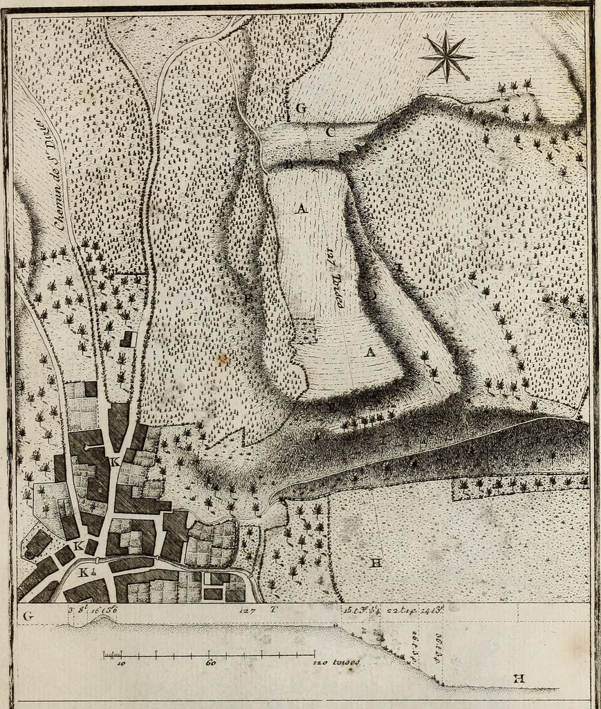 An illustration from Recueil d'antiquités égyptiennes, étrusques, greques et romaines, 1752, leaf 674