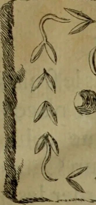 An illustration from Recueil d'antiquités égyptiennes, étrusques, greques et romaines, 1752, leaf 10