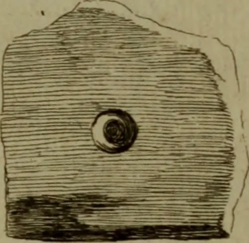 An illustration from Recueil d'antiquités égyptiennes, étrusques, greques et romaines, 1752, leaf 108