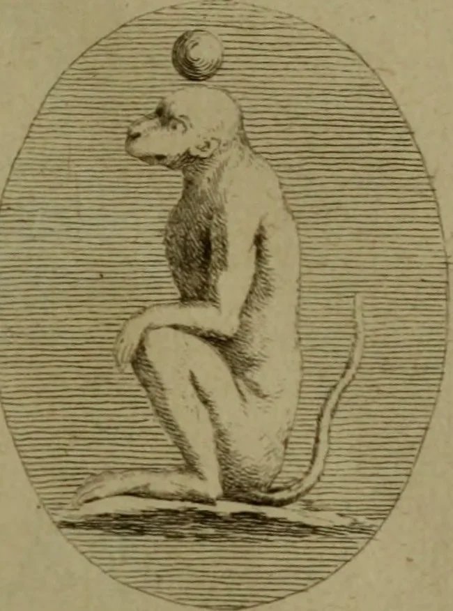 An illustration from Recueil d'antiquités égyptiennes, étrusques, greques et romaines, 1752, leaf 126