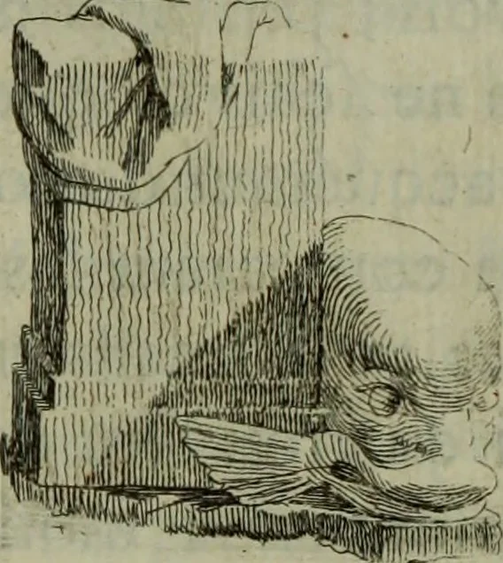 An illustration from Recueil d'antiquités égyptiennes, étrusques, greques et romaines, 1752, leaf 31