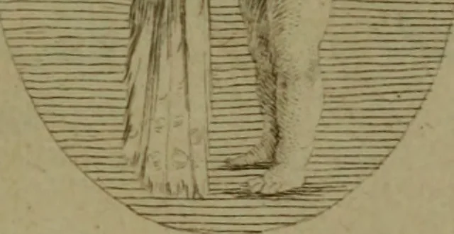An illustration from Recueil d'antiquités égyptiennes, étrusques, greques et romaines, 1752, leaf 526