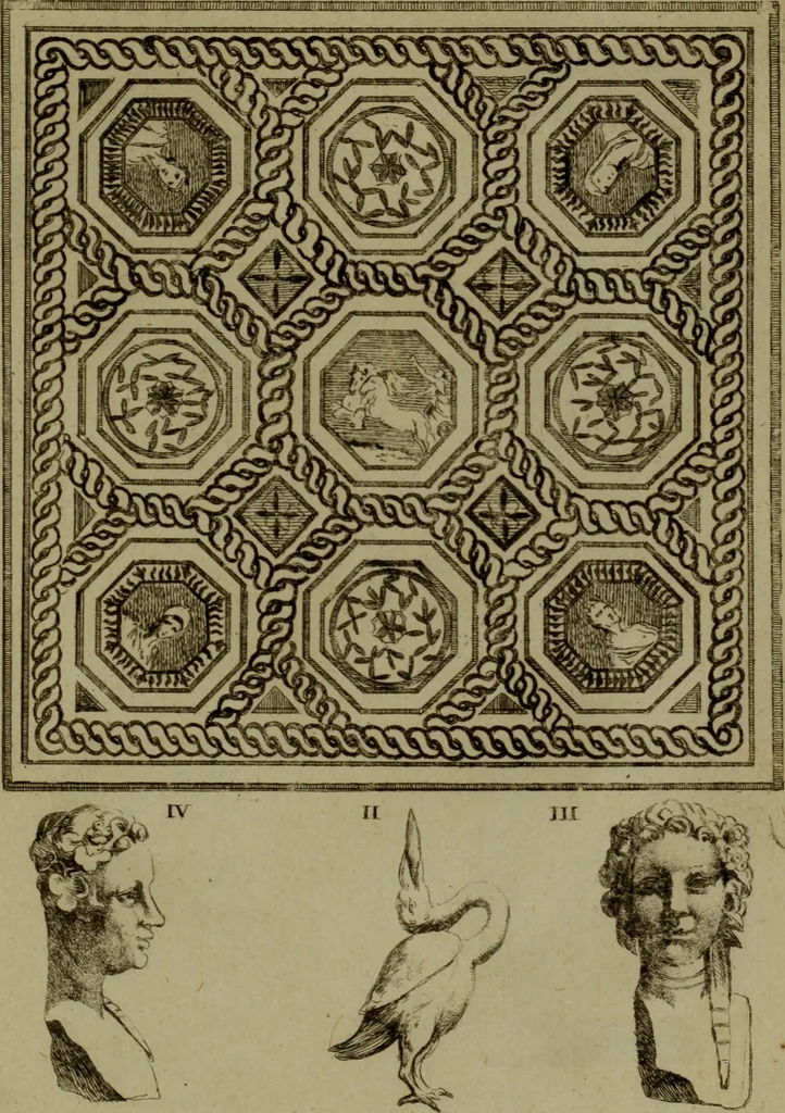 An illustration from Recueil d'antiquités égyptiennes, étrusques, greques et romaines, 1752, leaf 536