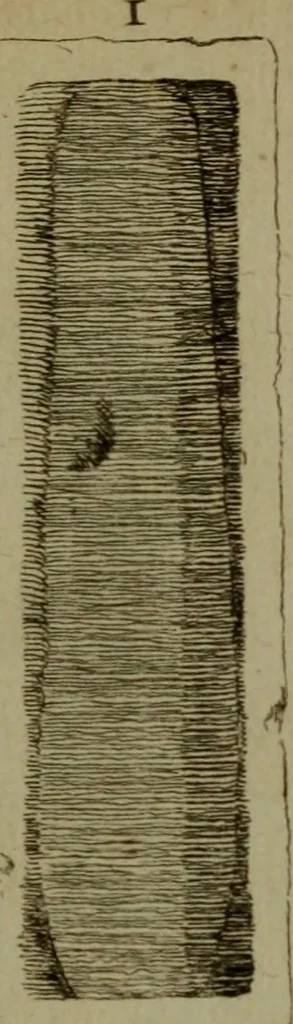 An illustration from Recueil d'antiquités égyptiennes, étrusques, greques et romaines, 1752, leaf 678