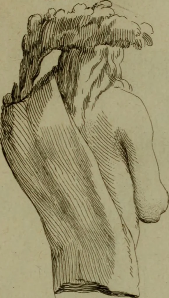 An illustration from Recueil d'antiquités égyptiennes, étrusques, greques et romaines, 1752, leaf 682
