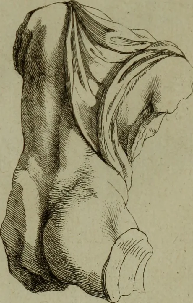 An illustration from Recueil d'antiquités égyptiennes, étrusques, greques et romaines, 1752, leaf 692