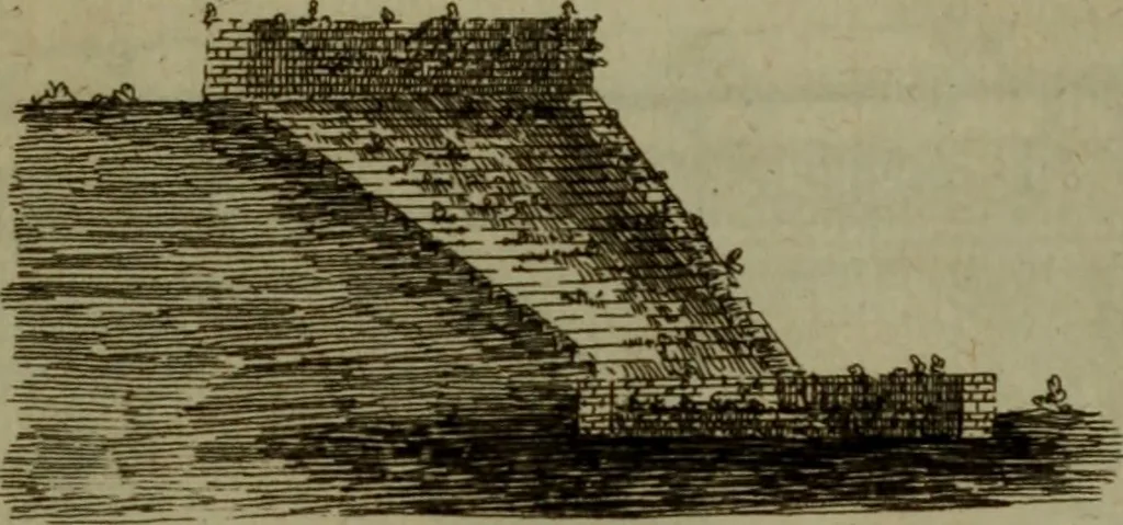 An illustration from Recueil d'antiquités égyptiennes, étrusques, greques et romaines, 1752, leaf 698