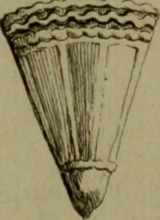 An illustration from Recueil d'antiquités égyptiennes, étrusques, greques et romaines, 1752, leaf 712