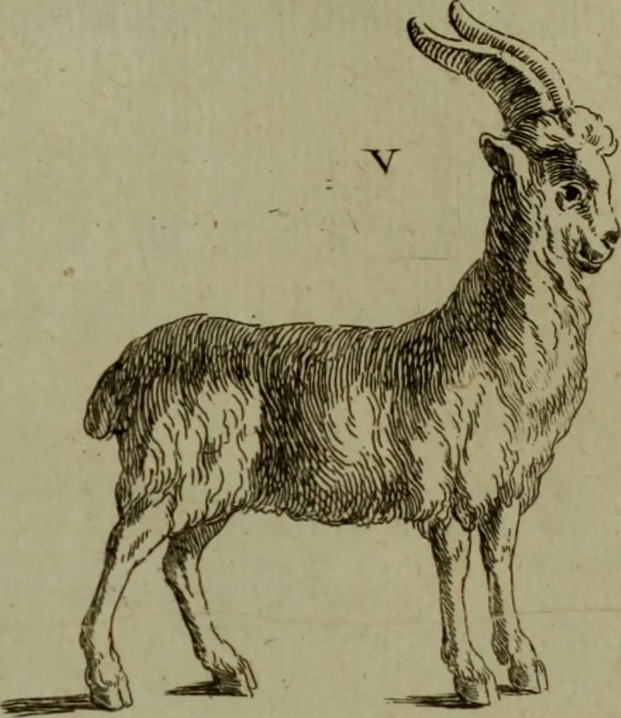 An illustration from Recueil d'antiquités égyptiennes, étrusques, greques et romaines, 1752, leaf 714
