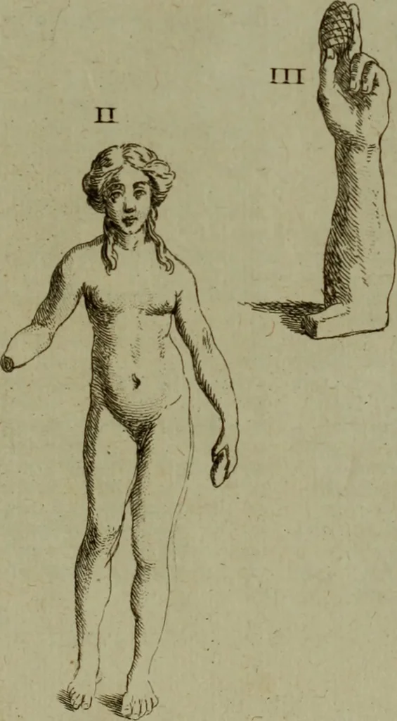 An illustration from Recueil d'antiquités égyptiennes, étrusques, greques et romaines, 1752, leaf 714