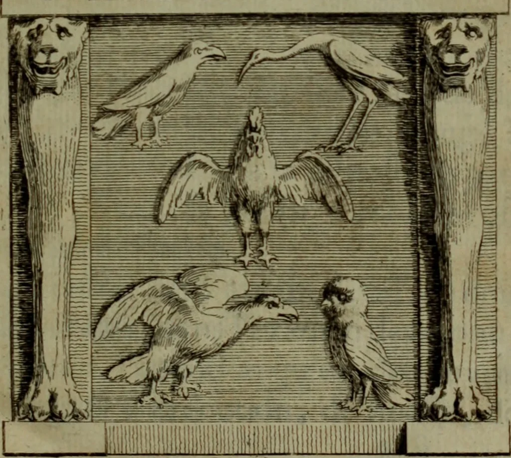 An illustration from Recueil d'antiquités égyptiennes, étrusques, greques et romaines, 1752, leaf 8