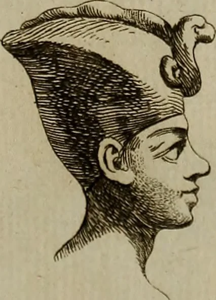 An illustration from Recueil d'antiquités égyptiennes, étrusques, greques et romaines, 1752, leaf 104