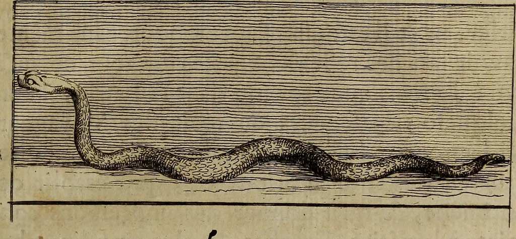 An illustration from Recueil d'antiquités égyptiennes, étrusques, greques et romaines, 1752, leaf 12