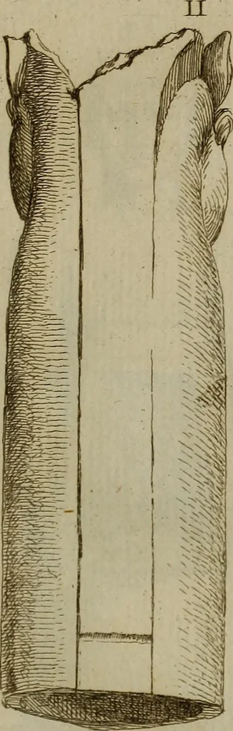 An illustration from Recueil d'antiquités égyptiennes, étrusques, greques et romaines, 1752, leaf 124