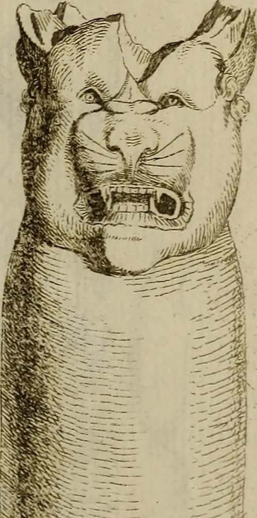 An illustration from Recueil d'antiquités égyptiennes, étrusques, greques et romaines, 1752, leaf 124