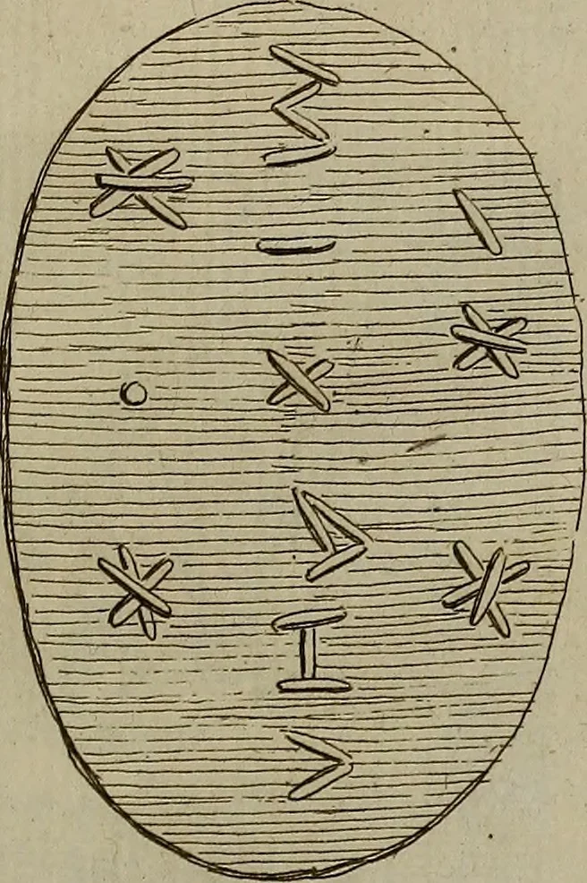 An illustration from Recueil d'antiquités égyptiennes, étrusques, greques et romaines, 1752, leaf 142