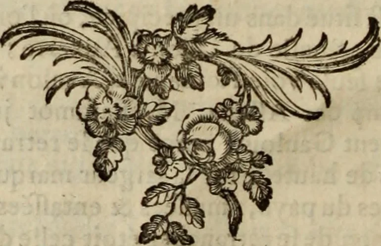 An illustration from Recueil d'antiquités égyptiennes, étrusques, greques et romaines, 1752, leaf 27