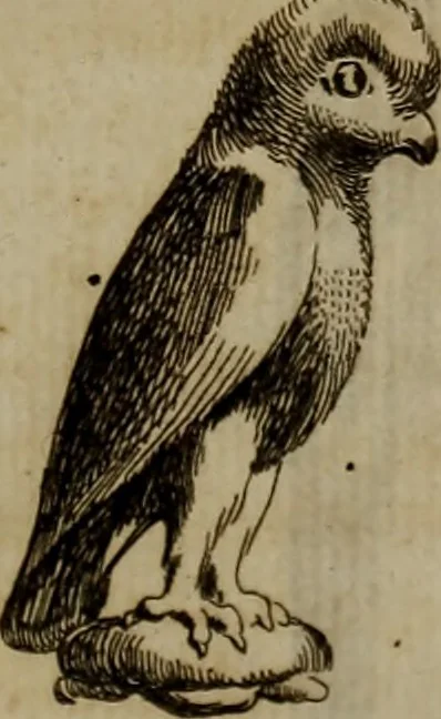 An illustration from Recueil d'antiquités égyptiennes, étrusques, greques et romaines, 1752, leaf 314