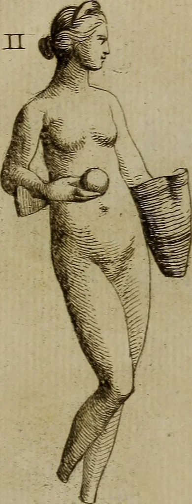 An illustration from Recueil d'antiquités égyptiennes, étrusques, greques et romaines, 1752, leaf 318
