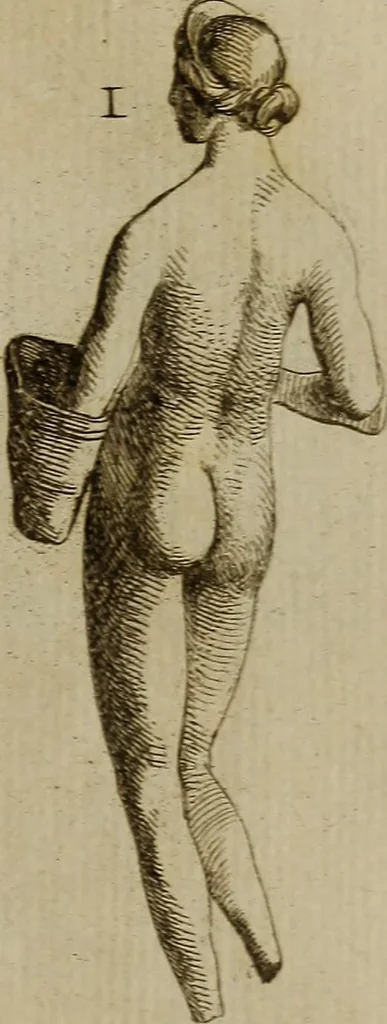 An illustration from Recueil d'antiquités égyptiennes, étrusques, greques et romaines, 1752, leaf 318