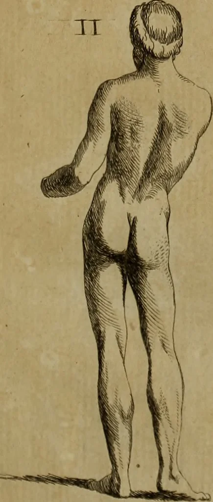 An illustration from Recueil d'antiquités égyptiennes, étrusques, greques et romaines, 1752, leaf 320
