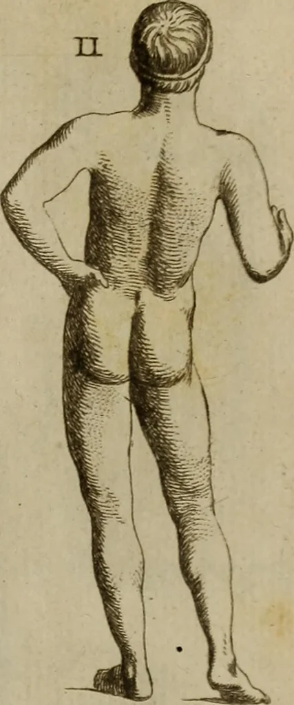An illustration from Recueil d'antiquités égyptiennes, étrusques, greques et romaines, 1752, leaf 492