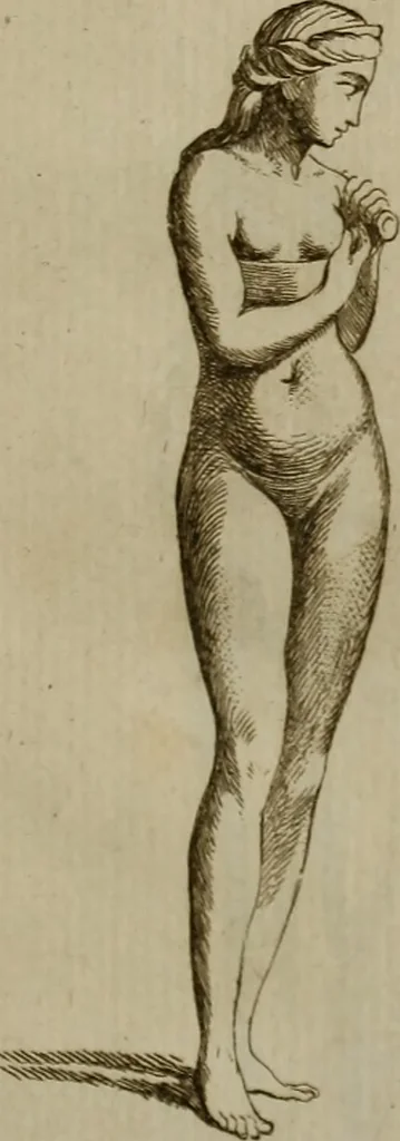 An illustration from Recueil d'antiquités égyptiennes, étrusques, greques et romaines, 1752, leaf 496