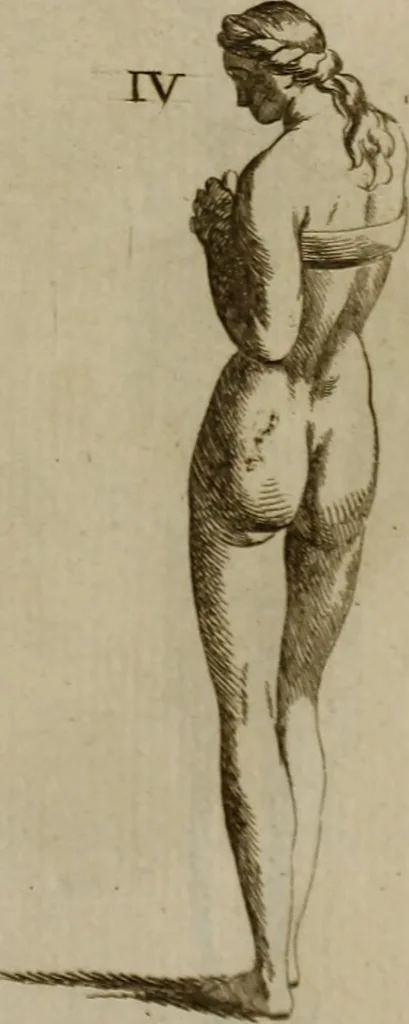 An illustration from Recueil d'antiquités égyptiennes, étrusques, greques et romaines, 1752, leaf 496