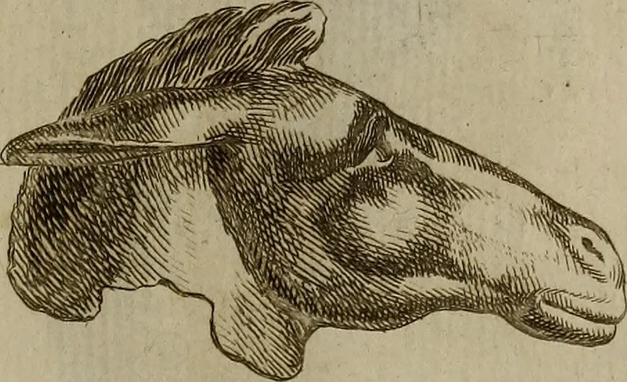 An illustration from Recueil d'antiquités égyptiennes, étrusques, greques et romaines, 1752, leaf 502