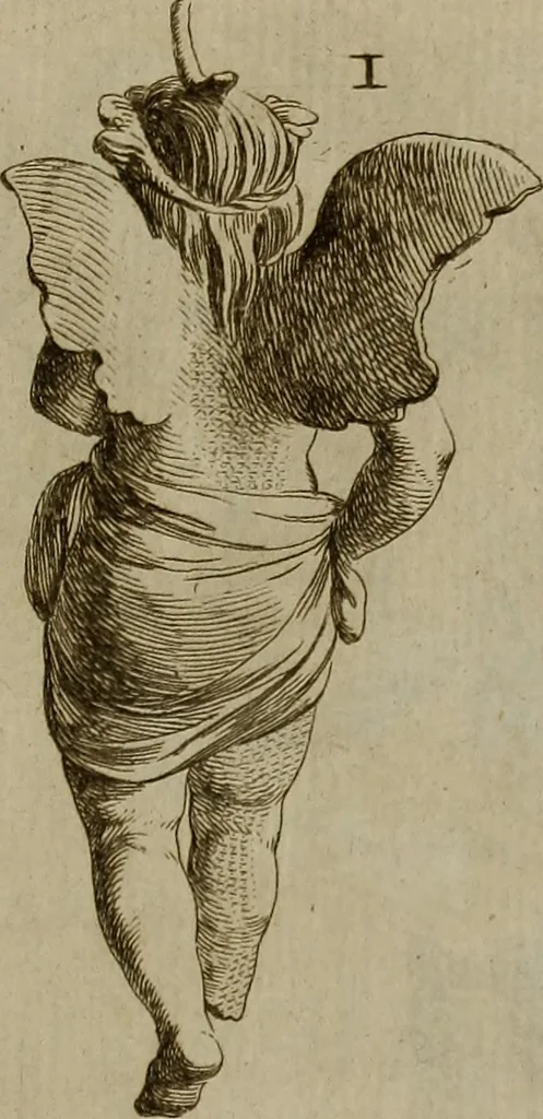 An illustration from Recueil d'antiquités égyptiennes, étrusques, greques et romaines, 1752, leaf 504