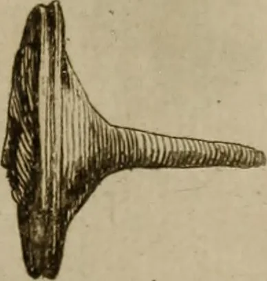 An illustration from Recueil d'antiquités égyptiennes, étrusques, greques et romaines, 1752, leaf 544