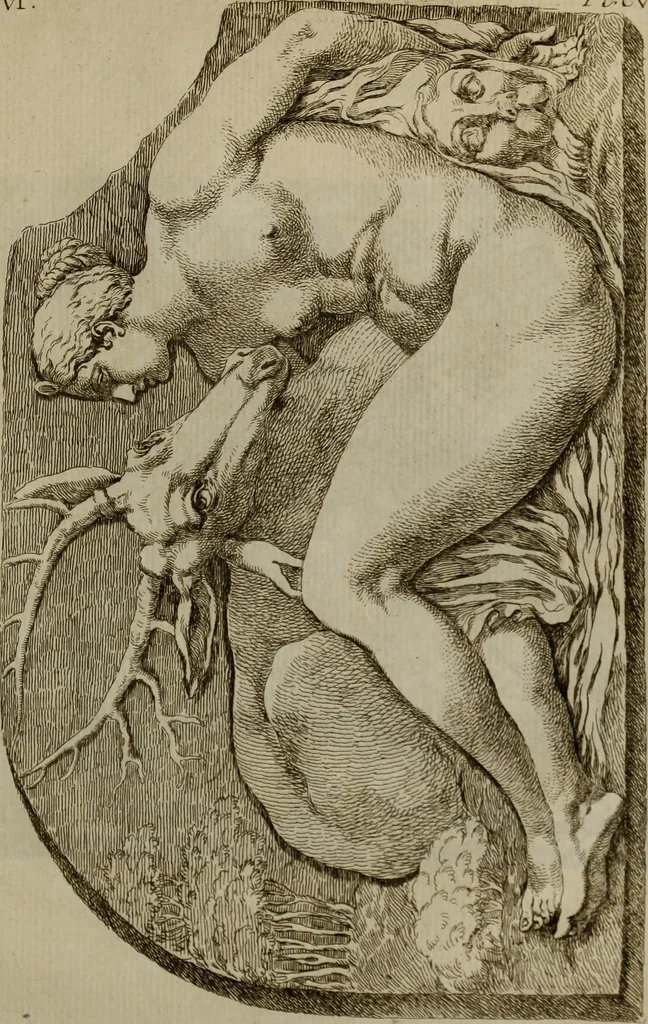 An illustration from Recueil d'antiquités égyptiennes, étrusques, greques et romaines, 1752, leaf 652