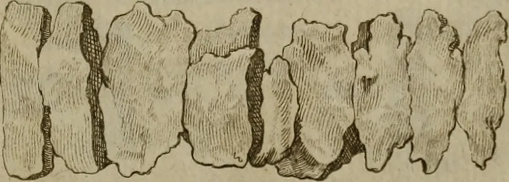 An illustration from Recueil d'antiquités égyptiennes, étrusques, greques et romaines, 1752, leaf 682