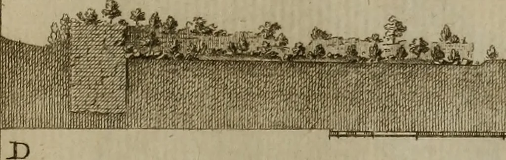 An illustration from Recueil d'antiquités égyptiennes, étrusques, greques et romaines, 1752, leaf 690