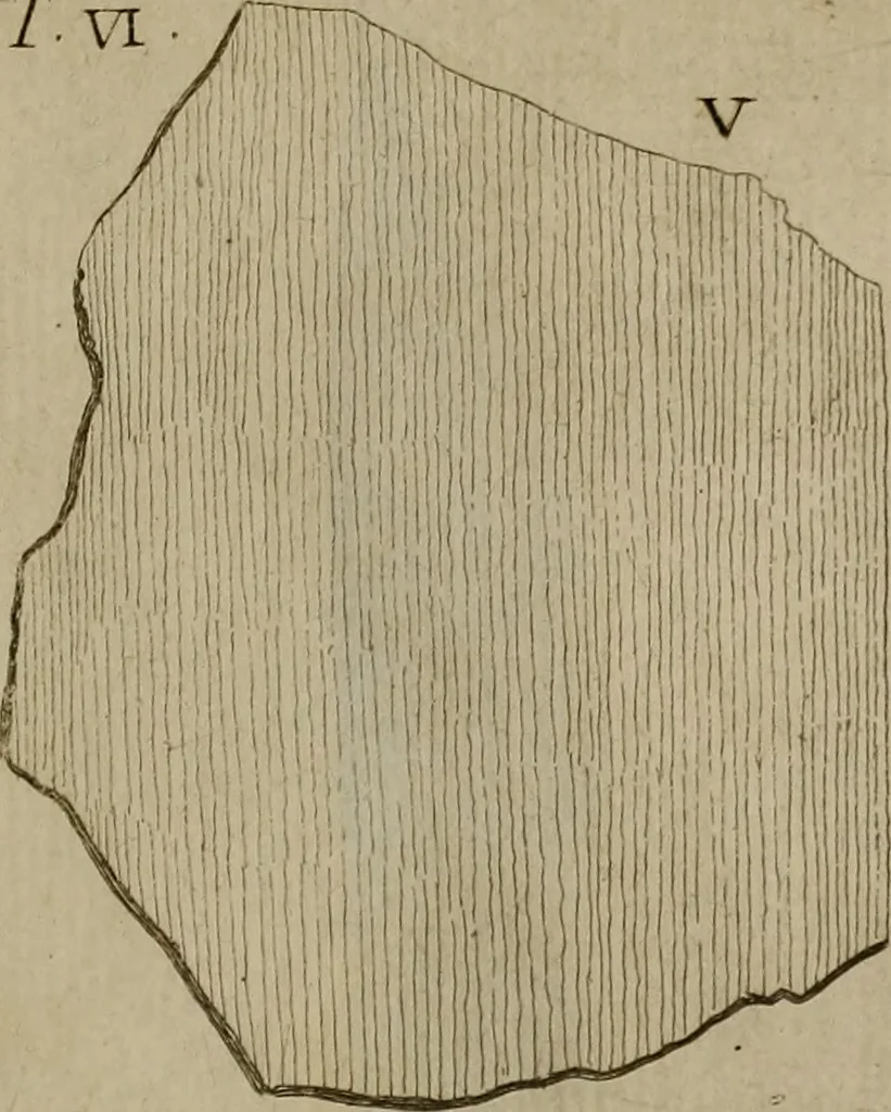 An illustration from Recueil d'antiquités égyptiennes, étrusques, greques et romaines, 1752, leaf 692