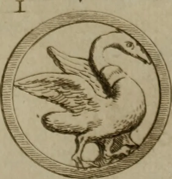 An illustration from Recueil d'antiquités égyptiennes, étrusques, greques et romaines, 1752, leaf 696