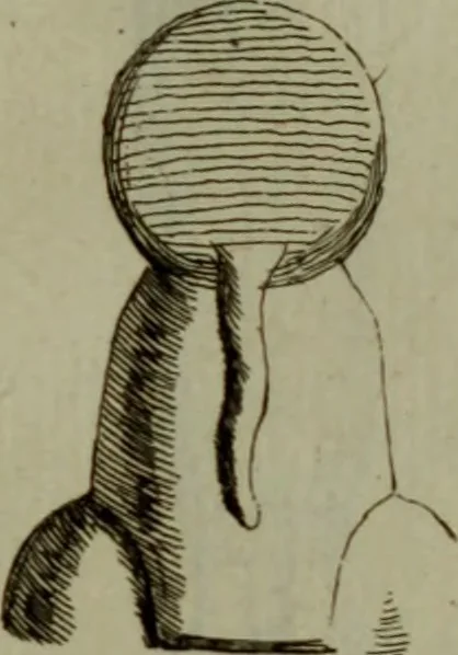 An illustration from Recueil d'antiquités égyptiennes, étrusques, greques et romaines, 1752, leaf 132
