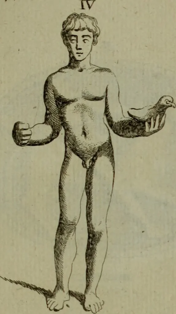 An illustration from Recueil d'antiquités égyptiennes, étrusques, greques et romaines, 1752, leaf 230