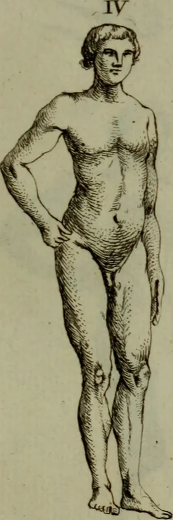 An illustration from Recueil d'antiquités égyptiennes, étrusques, greques et romaines, 1752, leaf 240