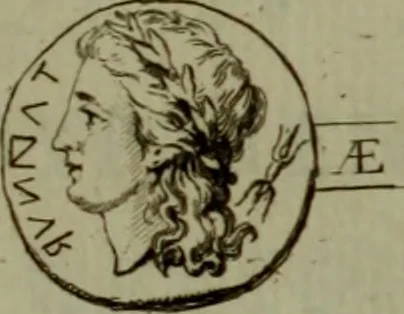 An illustration from Recueil d'antiquités égyptiennes, étrusques, greques et romaines, 1752, leaf 250