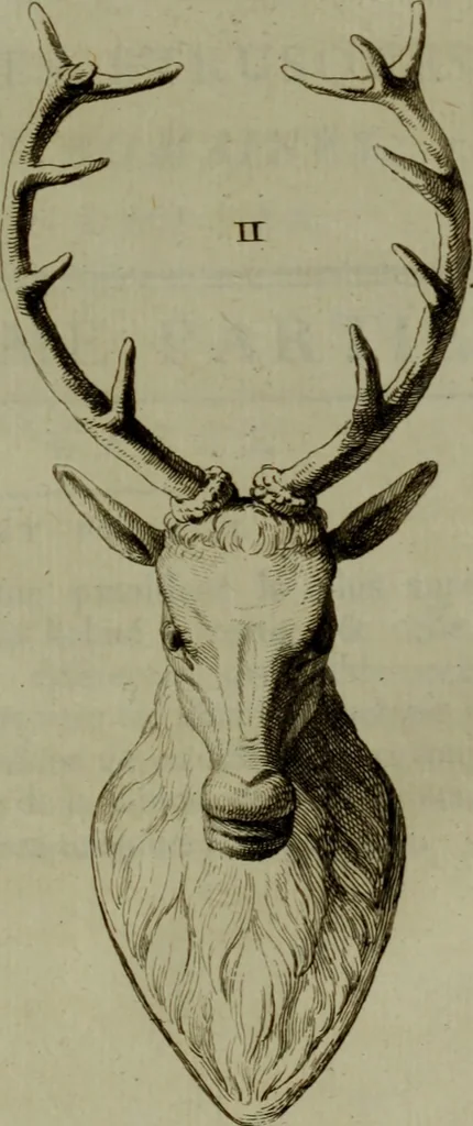 An illustration from Recueil d'antiquités égyptiennes, étrusques, greques et romaines, 1752, leaf 250